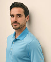 Performance Series Micro Stripe Jersey Polo Shirt | Brooks Brothers