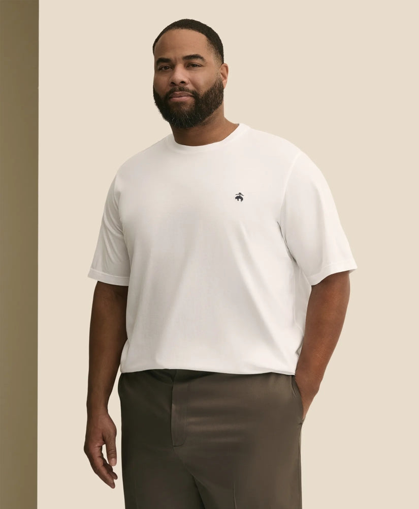 Big & Tall Supima | Brooks Brothers