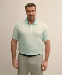 Performance Series Big & Tall Microstripe Polo Shirt | Brooks Brothers